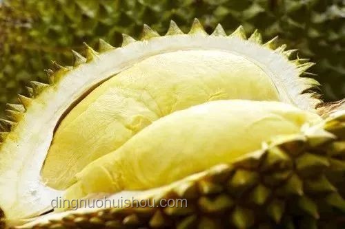 中国游客在新加坡酒店食用榴莲遭千元罚款案例研究
